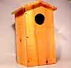 bf_houses_woodduck.jpg